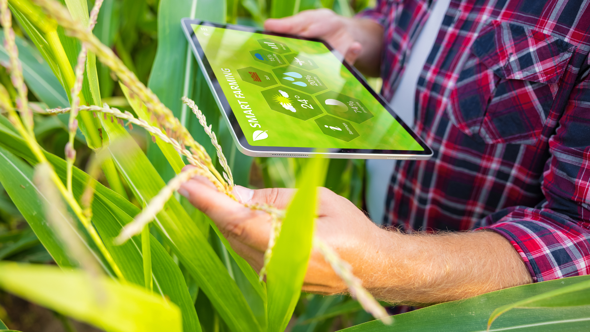 Diplomado en Gestión de Agronegocios